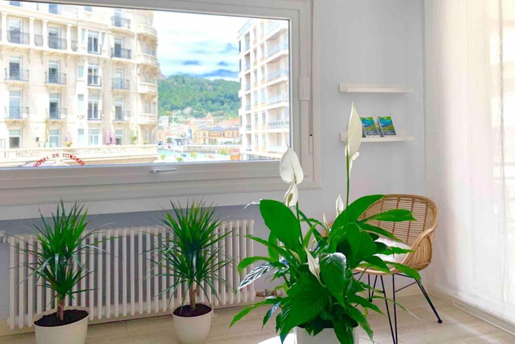 New Gorgeous Central Apartment - Beachfront - 3 Bd 산세바스티안 외부 사진